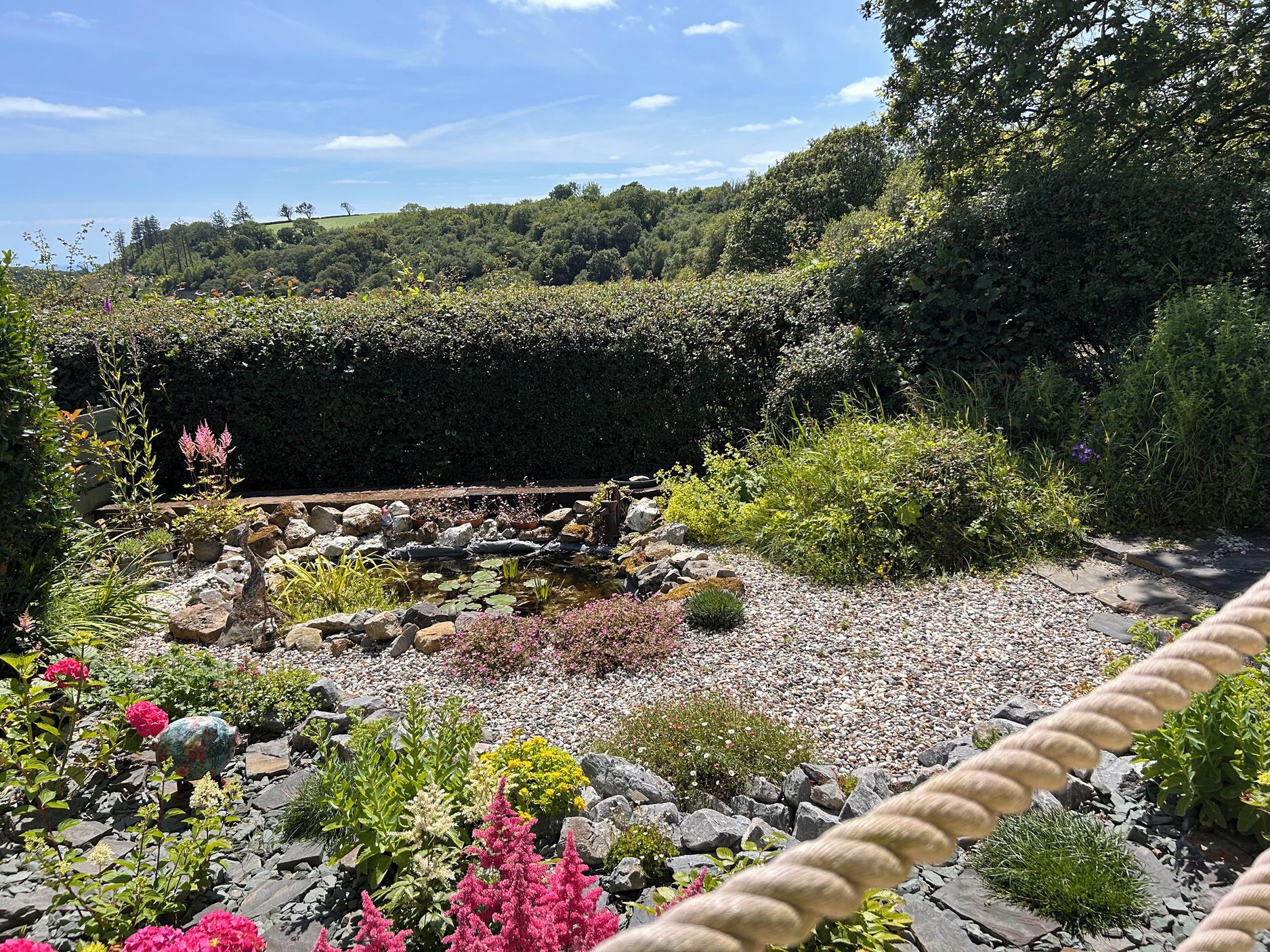 A garden with a pond, rocks, and various plants.