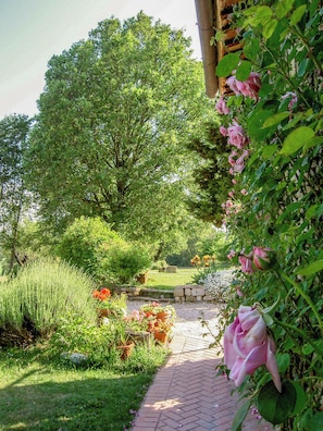 Apartment | Property grounds - Appartamento Rosmarino (Gubbio)