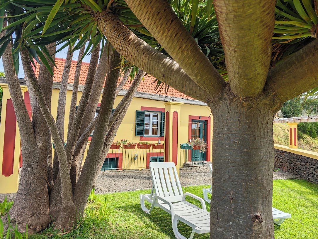 A yellow building with red trim, a white chair, and a palm tree in the foreground.