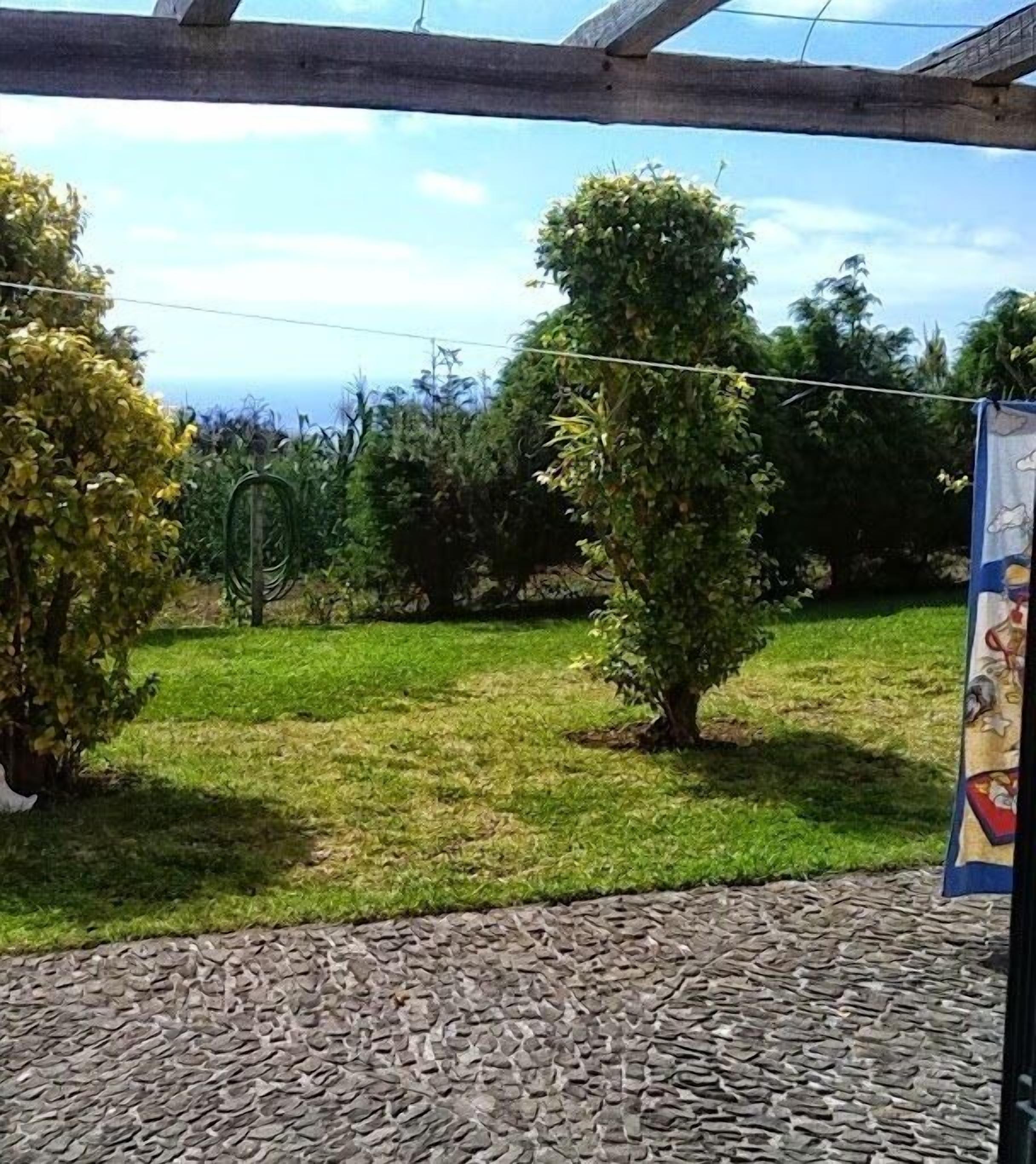 Un jardín con un sendero de piedra, una pérgola de madera y varios árboles.