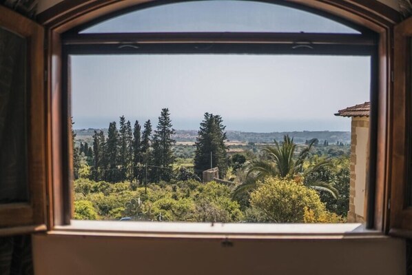Une fenêtre donnant sur un paysage comprenant des arbres et un horizon lointain.