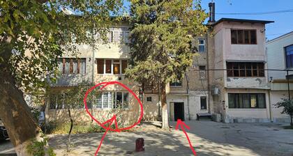 Lovely 1-bedroom condo with AC in charming Samarqand