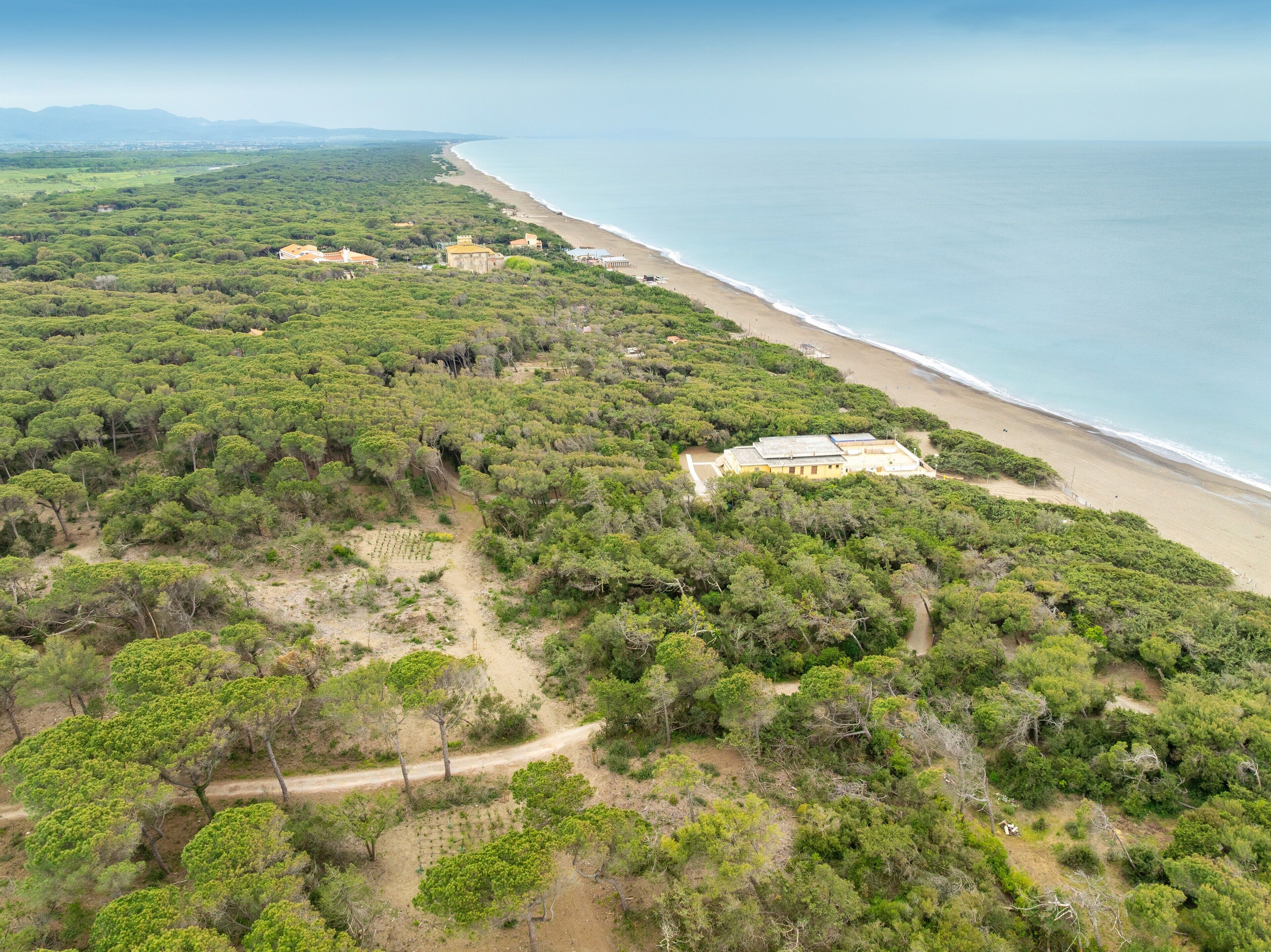 An aerial view of a coastal area with dense greenery, a beach, and a few buildings.