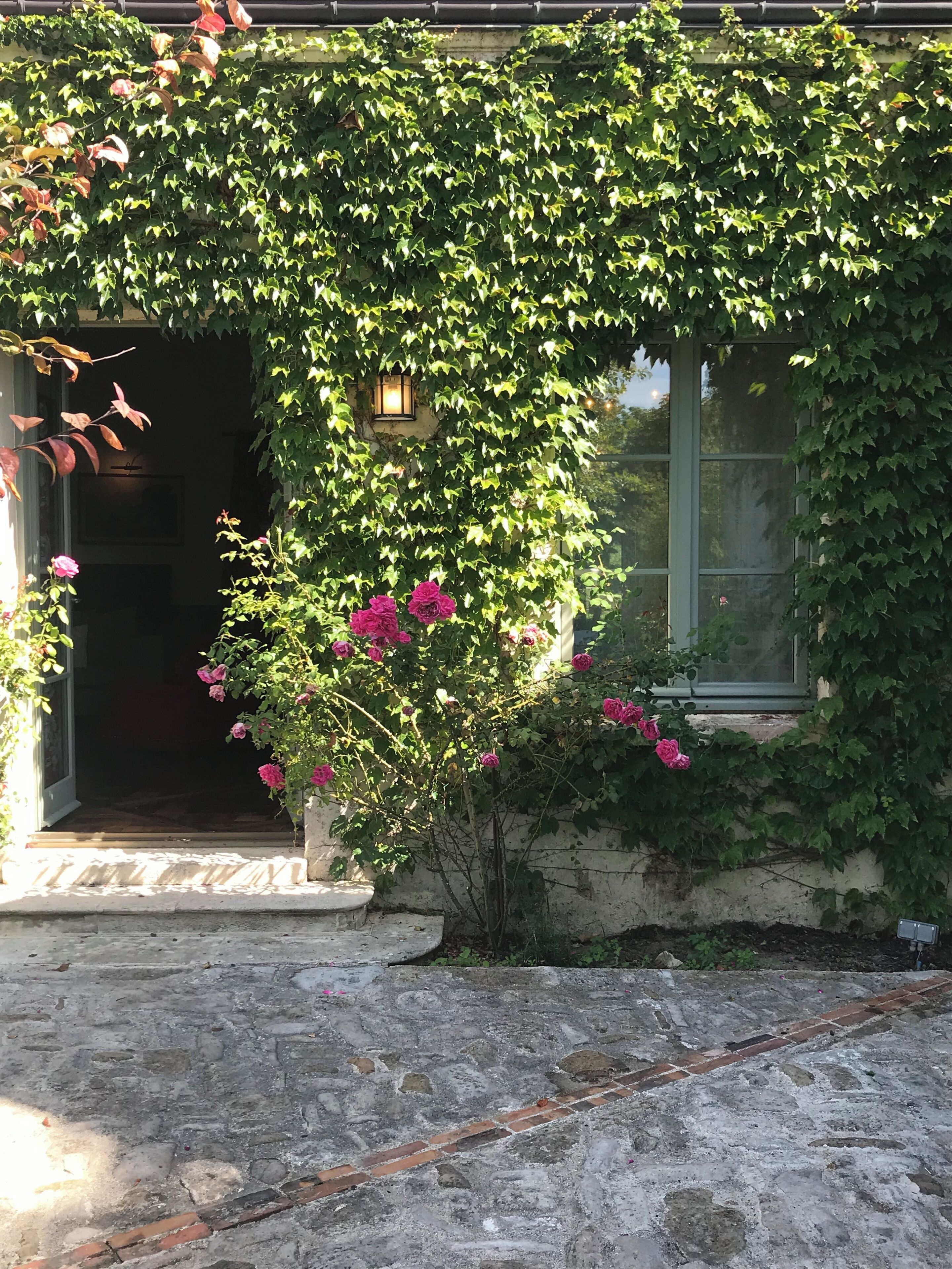 A stone building with a window, a door, and a wall covered in green ivy.