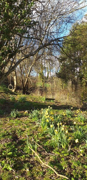Property grounds - Badger bell tent in stunning countryside, minutes from Lyme Regis/Jurassic Coast (Uplyme)