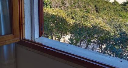 Sea view, house 20 meters from the sea ideal for relaxation
