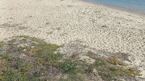Een strand met helderblauw water, een zandstrand en op de achtergrond bergen.