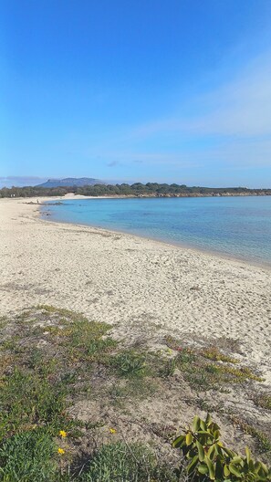 On the beach - Sea view, house 20 meters from the sea ideal for relaxation (Bados)