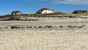 A beach with three houses, one with a red roof, and a clear sky. - 4 Star Holiday Home in Lokken (Lokken)