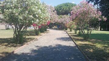 Áreas de la propiedad