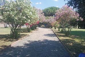 Property grounds - Maison Antoinette (San Vincenzo)