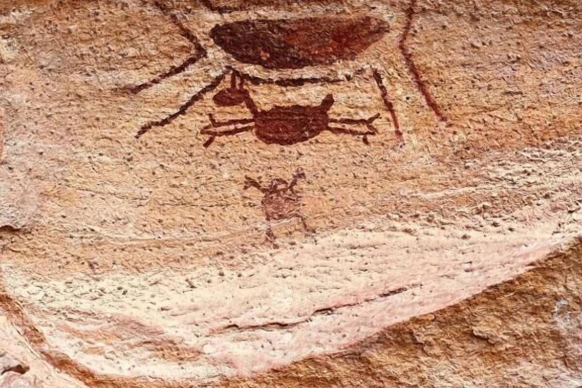 Family Room, Hill View | Lain-lain