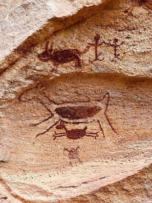 Family Room, Hill View | Miscellaneous - Sertão do luar (Coronel José Dias)