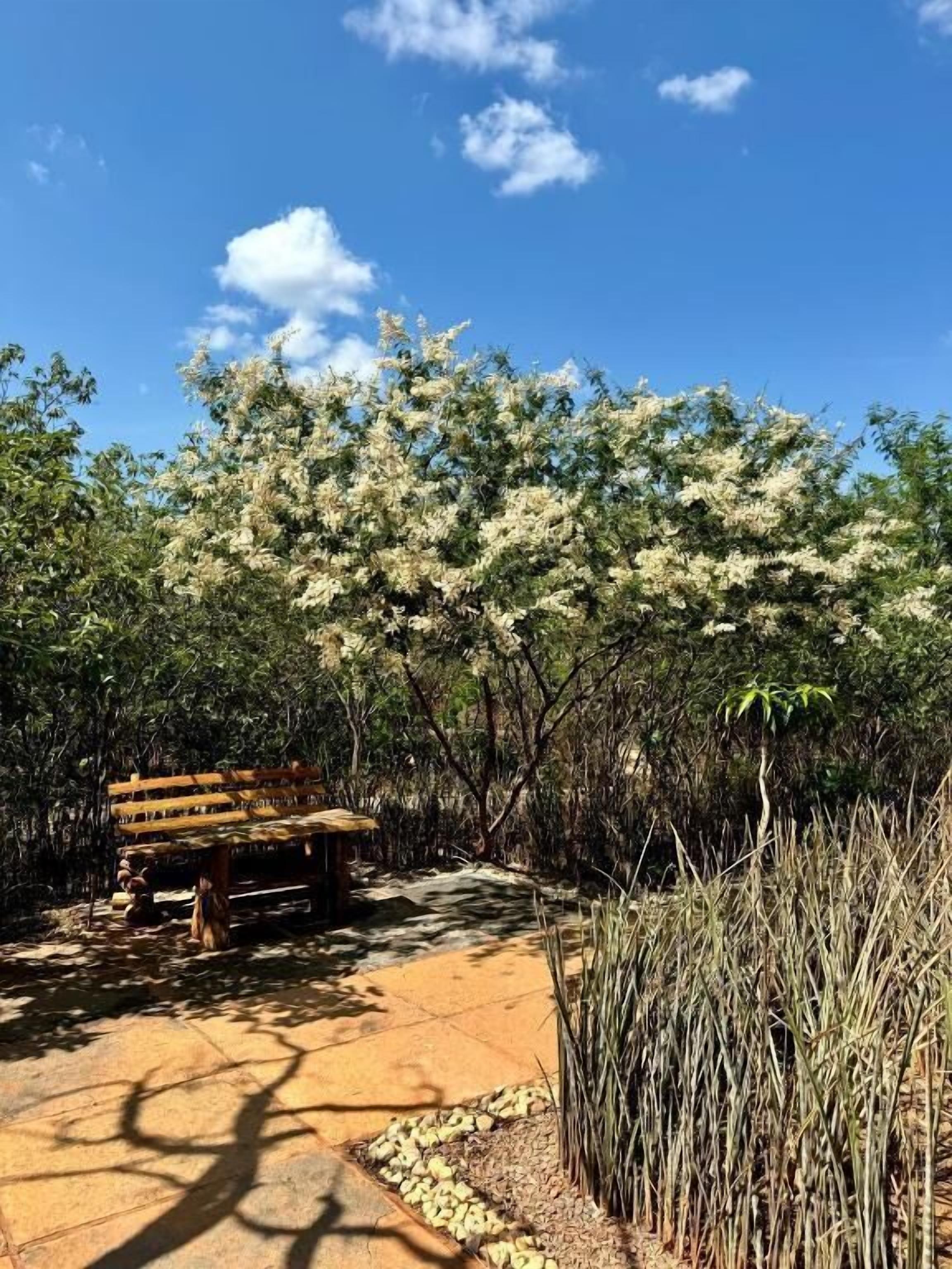 Quarto família, sacada, vista para o parque | Terraço/pátio