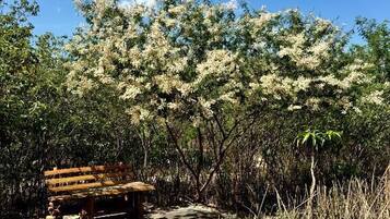 Quarto família, sacada, vista para o parque | Terraço/pátio