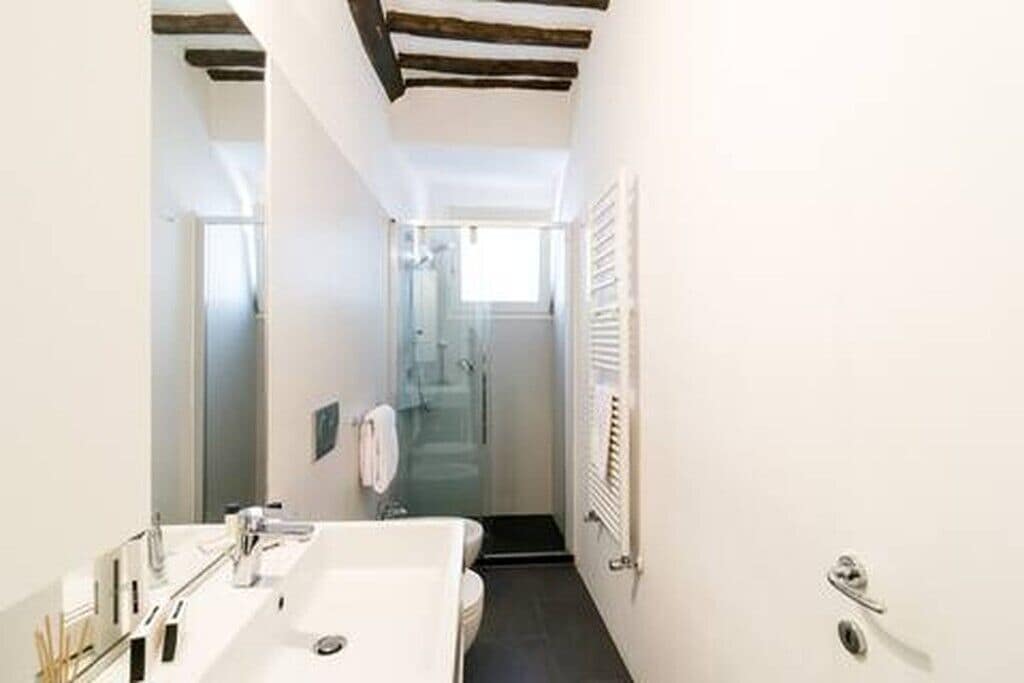 Hair dryer, bidet, towels, soap