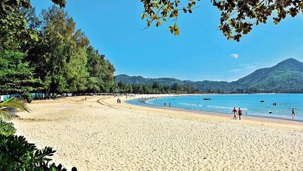 Ein Strand mit einer gewölbten Küstenlinie, Bäumen und einem Berg im Hintergrund.