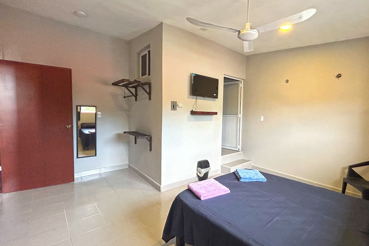 Un dormitorio con cama, una silla, un televisor, un ventilador de techo y una puerta.