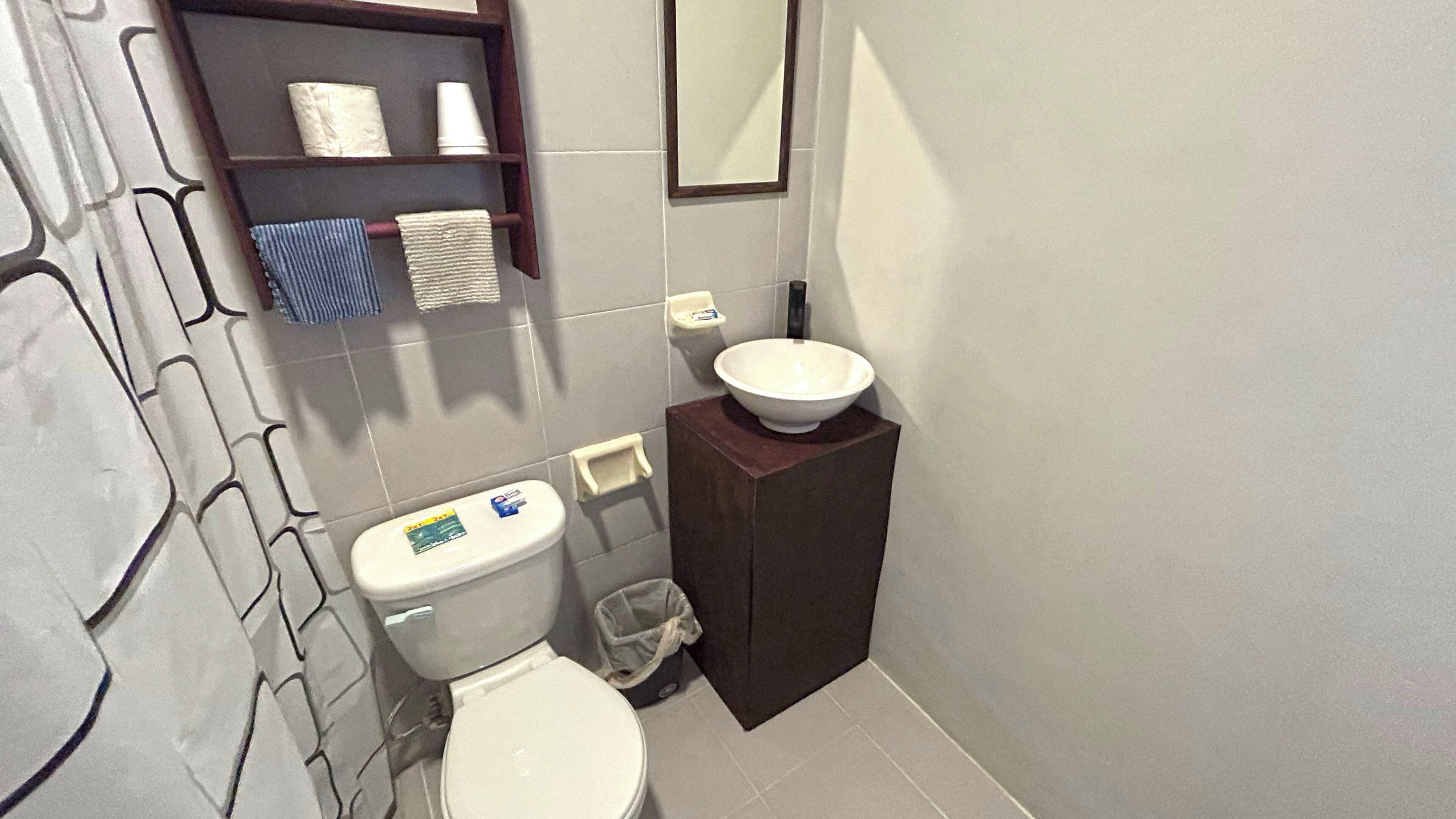 A bathroom with a toilet, a sink, a mirror, and a shelf with toiletries.