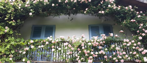 DĂ©tail de lâextĂ©rieur