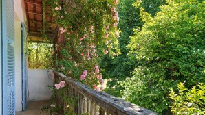 A wooden balcony with a view of lush greenery and a building with blue shutters.
