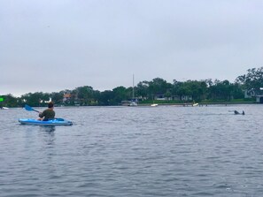 Miscellaneous - Direct Rainbow Springs River Paradise near Swampys! Spacious Family Friendly 3/2 (Dunnellon)