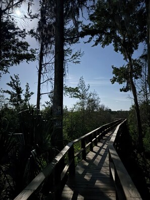 Miscellaneous - Direct Rainbow Springs River Paradise near Swampys! Spacious Family Friendly 3/2 (Dunnellon)