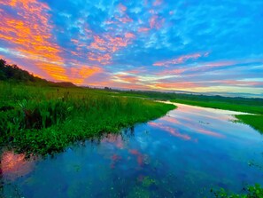 Miscellaneous - Direct Rainbow Springs River Paradise near Swampys! Spacious Family Friendly 3/2 (Dunnellon)