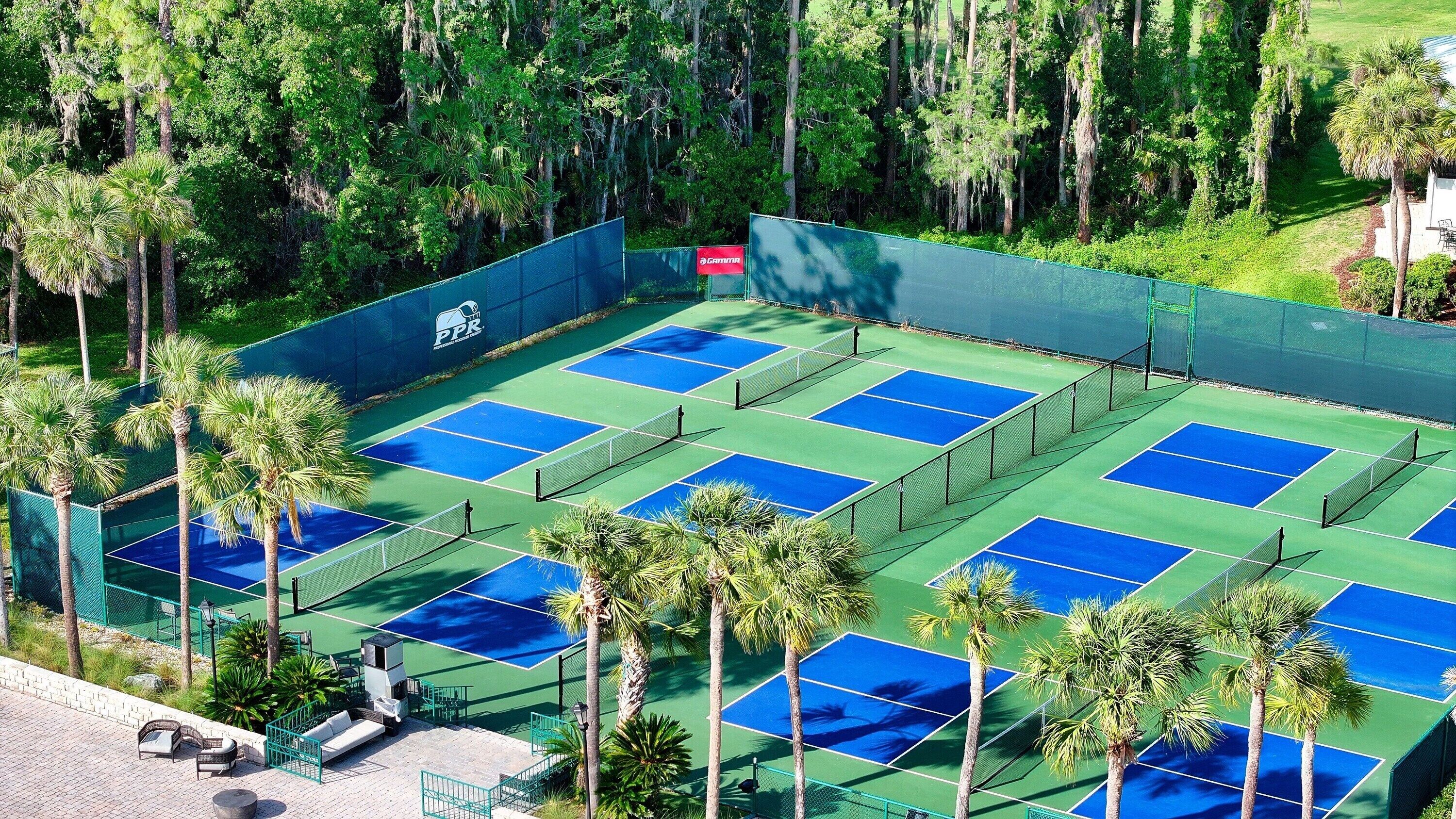Canchas de tenis múltiples, rodeadas de palmeras y una valla verde.
