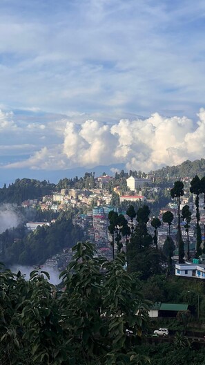 Miscellaneous - Grand Casa (Darjeeling)