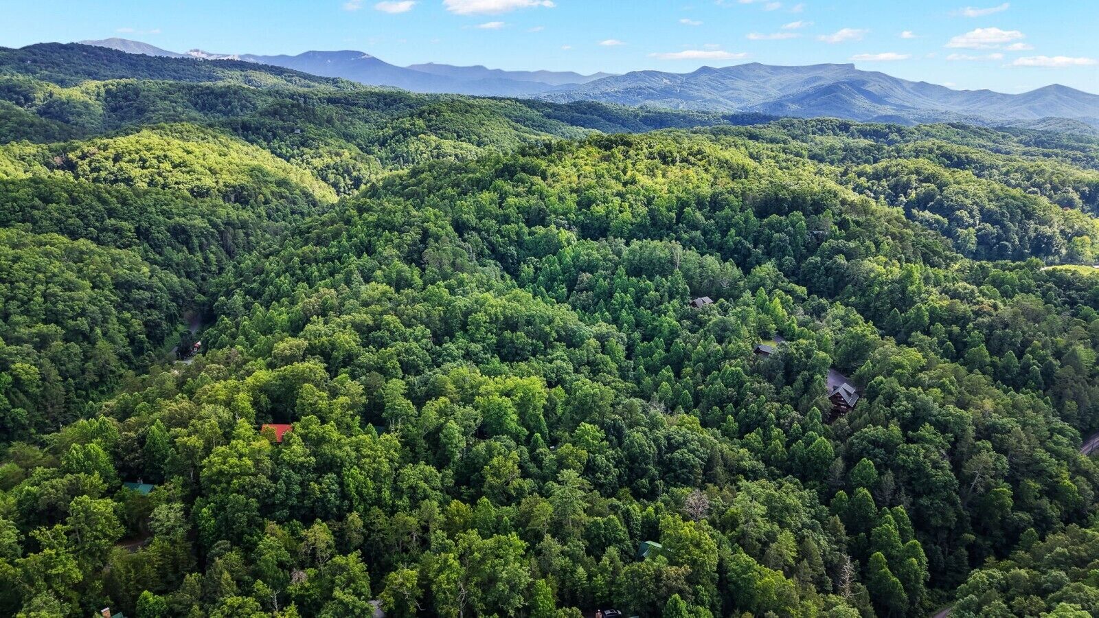 Une forêt dense, parsemée de quelques bâtiments, ce qui laisse supposer qu’il s’agit d’une zone isolée ou rurale.