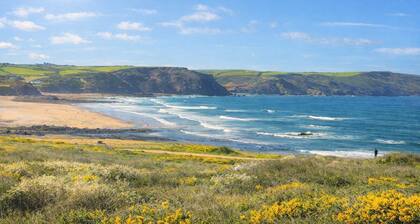3 Cosy Cornish Holiday Cottages, Bude - Sleeps 14