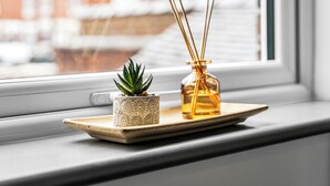 En vindueskarm med en lille potteplante og en flaske med rørstokke.