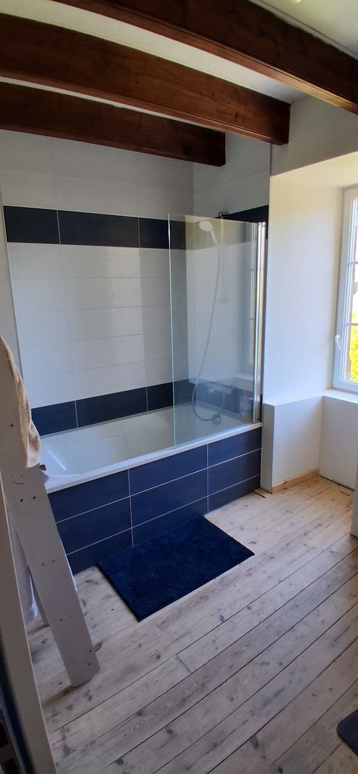 Shower, hair dryer, soap, toilet paper