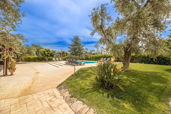 A backyard with a swimming pool, lounge chairs, and a well-maintained lawn.