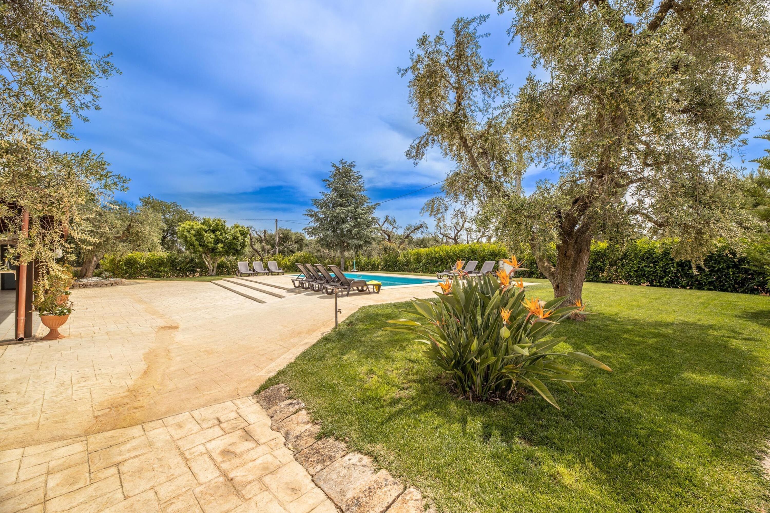 Un jardin avec une piscine, des chaises longues et une pelouse bien entretenue.