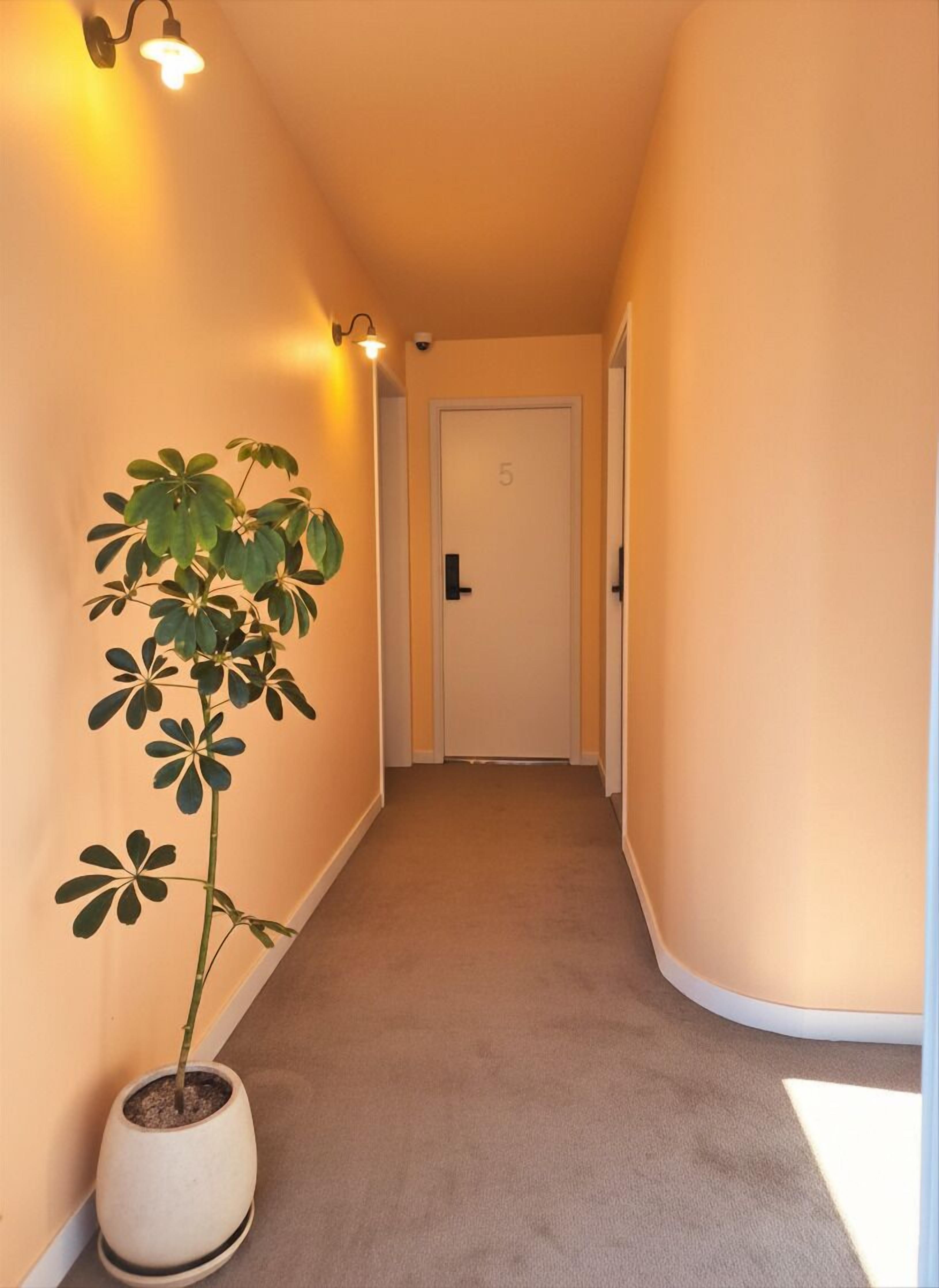 A hallway with a potted plant, a door with the number 5, and a light fixture.