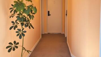 A hallway with a potted plant, a door with the number 5, and a light fixture.