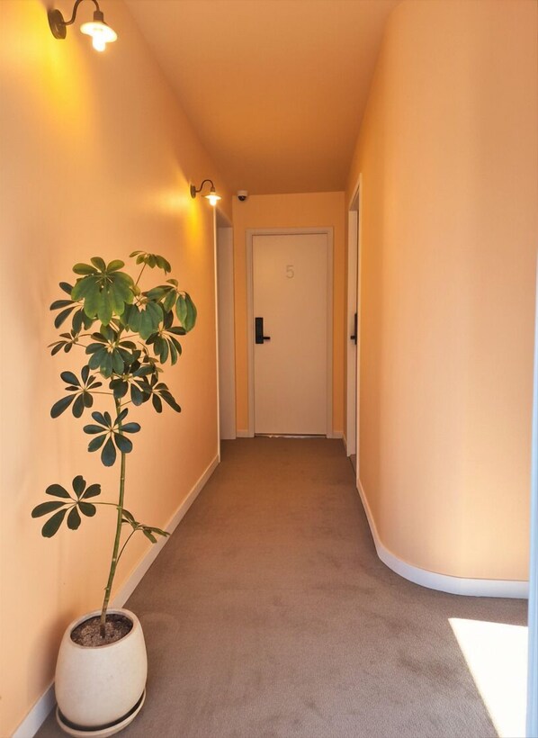 A hallway with a potted plant, a door with the number 5, and a light fixture.