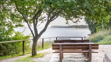 A bench under a tree by a body of water.