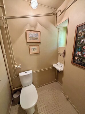 Shower, towels, toilet paper - Family home in Dordogne (Lalinde)