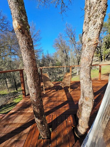 Treehouse Geodome In the Sierras