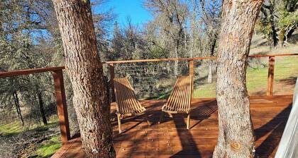 Treehouse Geodome In the Sierras