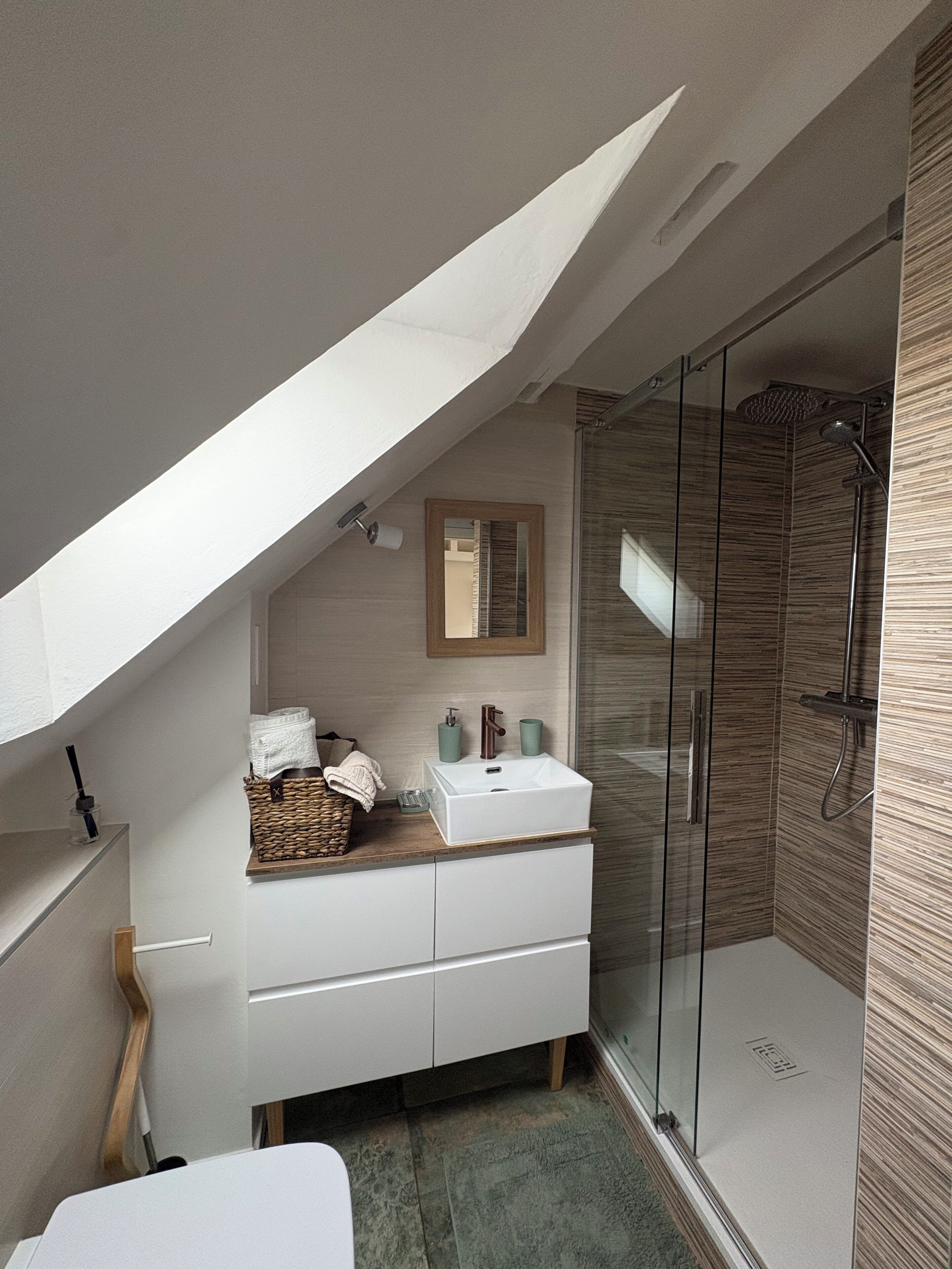 Shower, hair dryer, towels, toilet paper