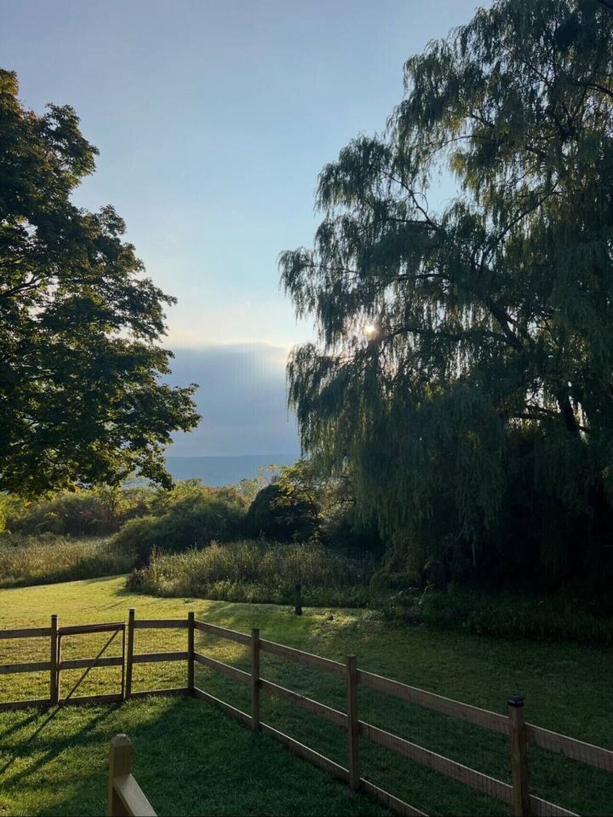 Imagen de perfil del propietario o de la propietaria