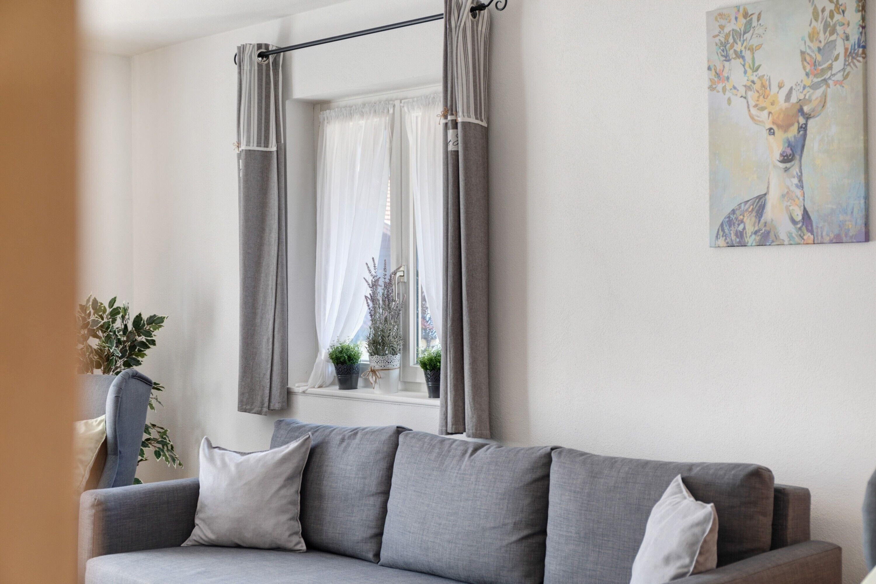 A living room with a grey sofa, a window with sheer curtains, and a painting of a deer.
