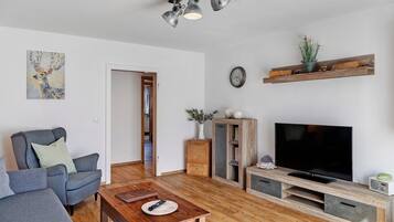 Fernseher