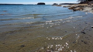 Una spiaggia con acque cristalline, un'isola all'orizzonte e un litorale roccioso.