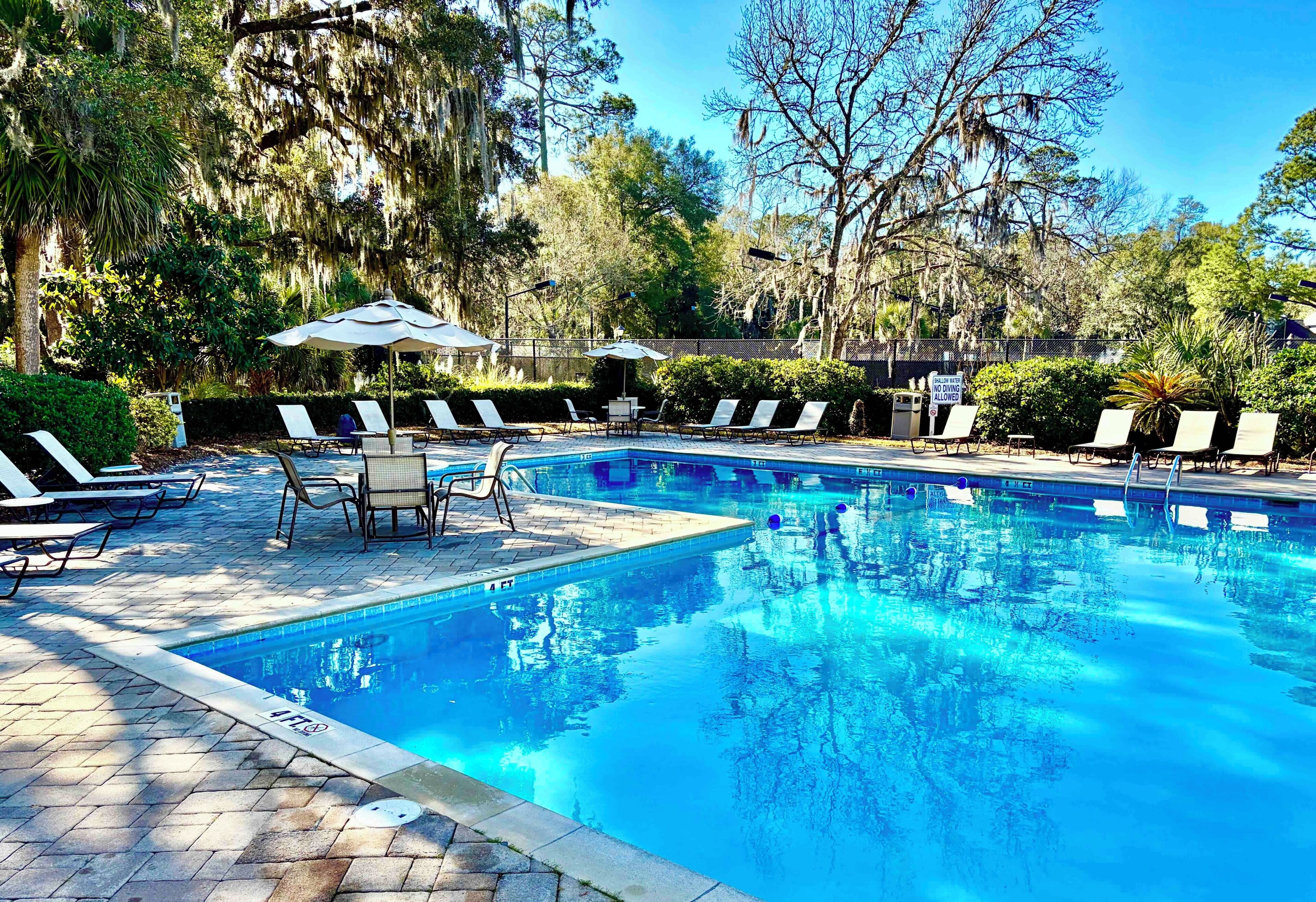 A swimming pool with lounge chairs and umbrellas, surrounded by trees and greenery.