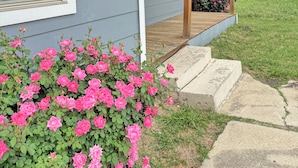 Una casa amb zona residencial, un porxo, un jardí petit amb roses roses i un cel serè.